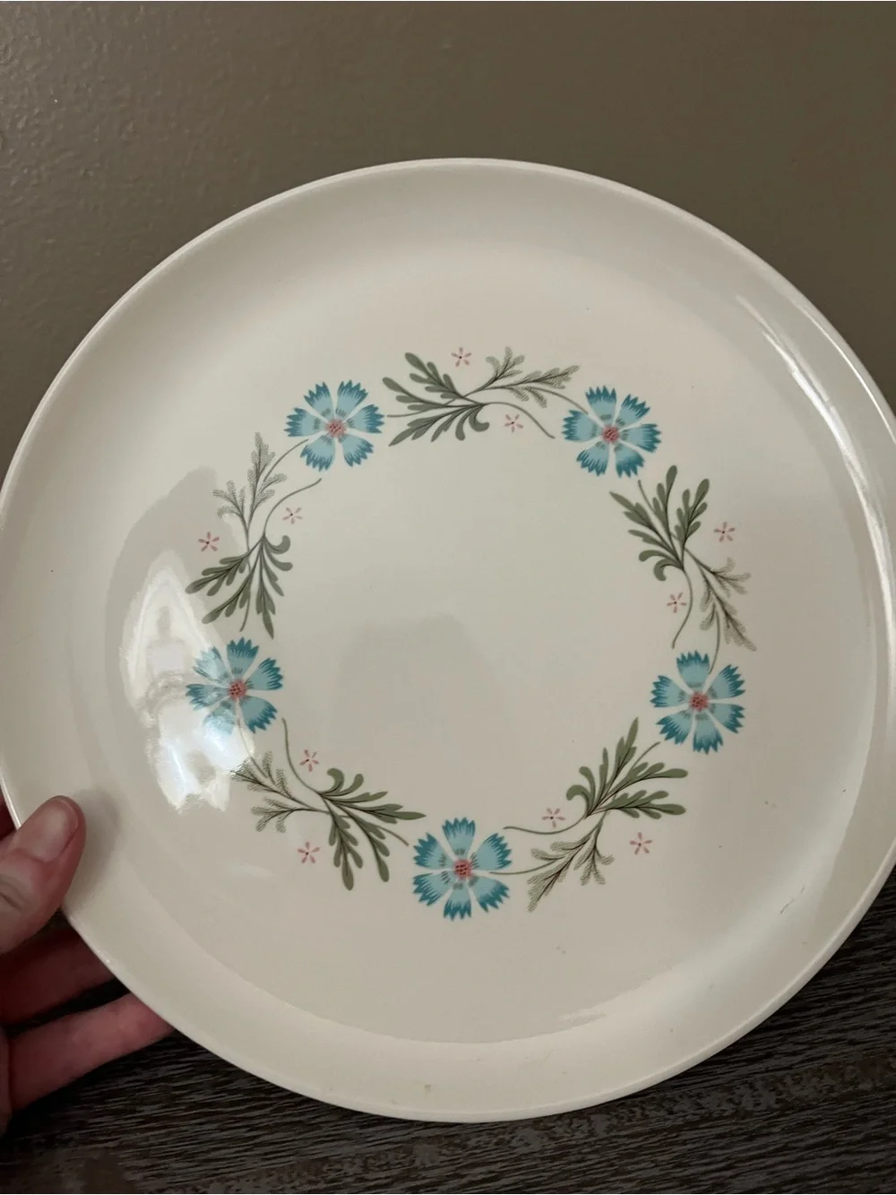 Vintage Taylor Smith & Taylor “Bridal Wreath” dinner plates set of four